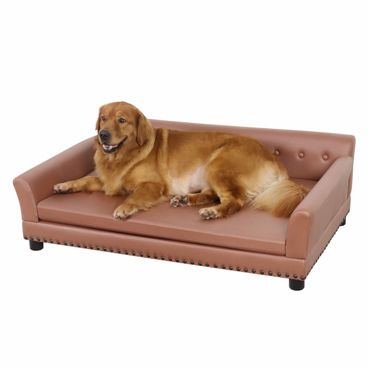 Leather dog outlet couch